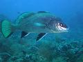 IMG_4482 r1